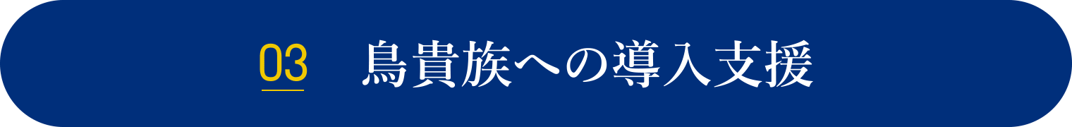 鳥貴族への導入支援